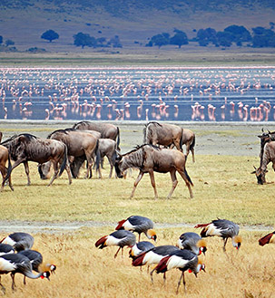 Lake Manyara